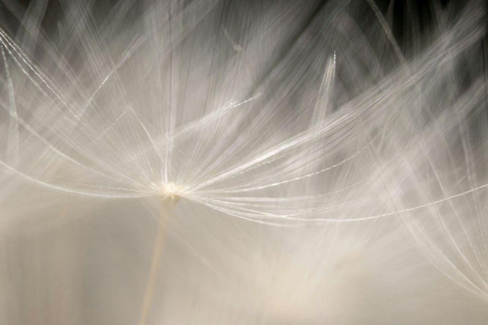 Leichtigkeit – warum sie so viel mehr ist als ein schönes Wort